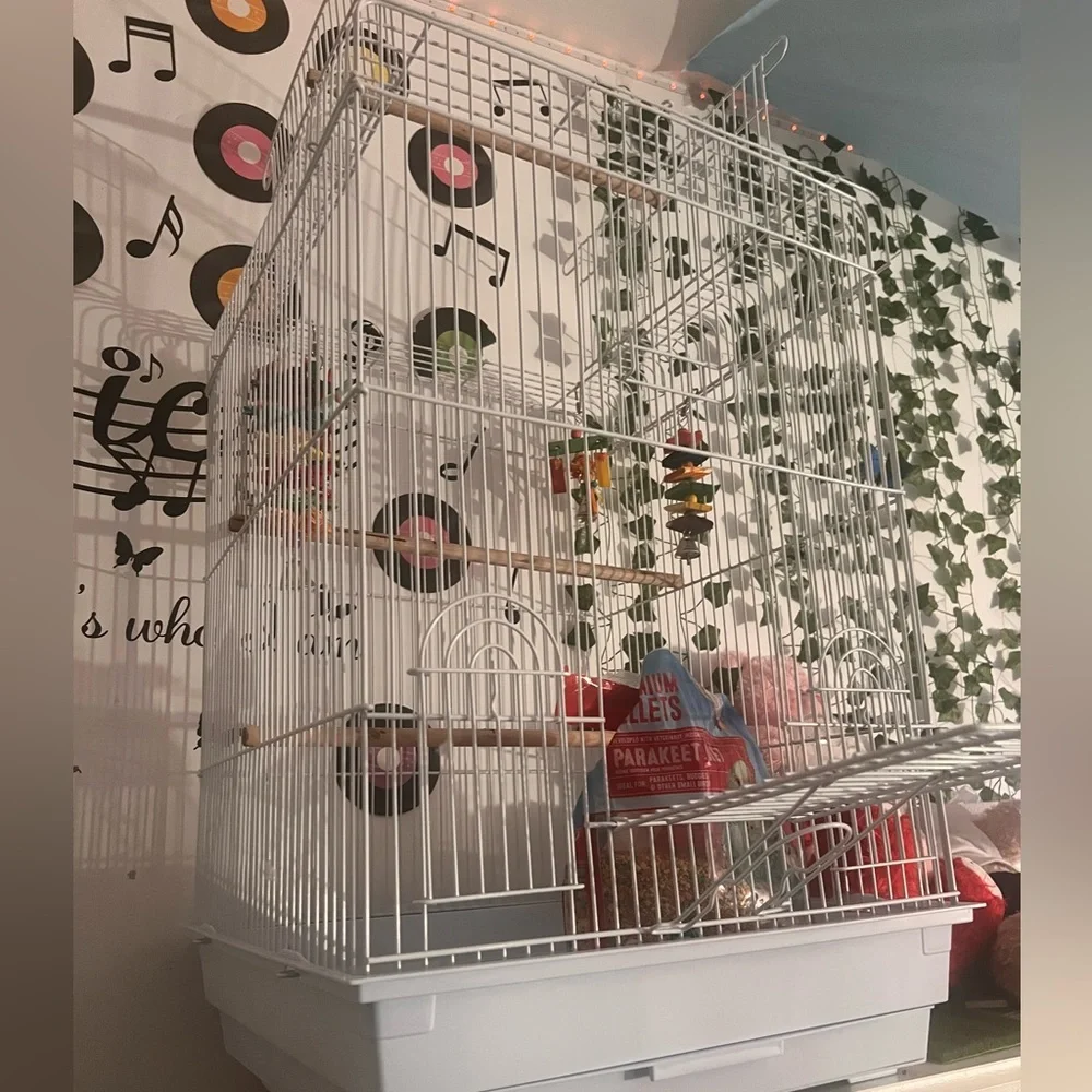 Large White Bird Cage with Toys and Food